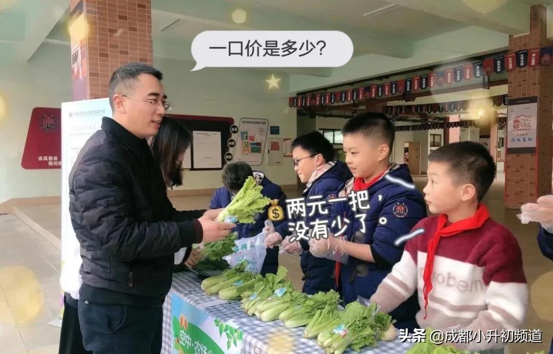 2024嘉祥锦江小升初招生简章,嘉祥温江小升初招生简章
