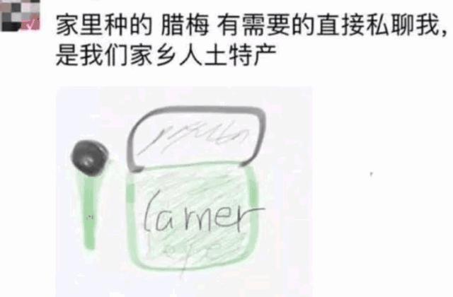 朋友圈代购让我有赚钱的冲动,搞笑求生欲朋友圈