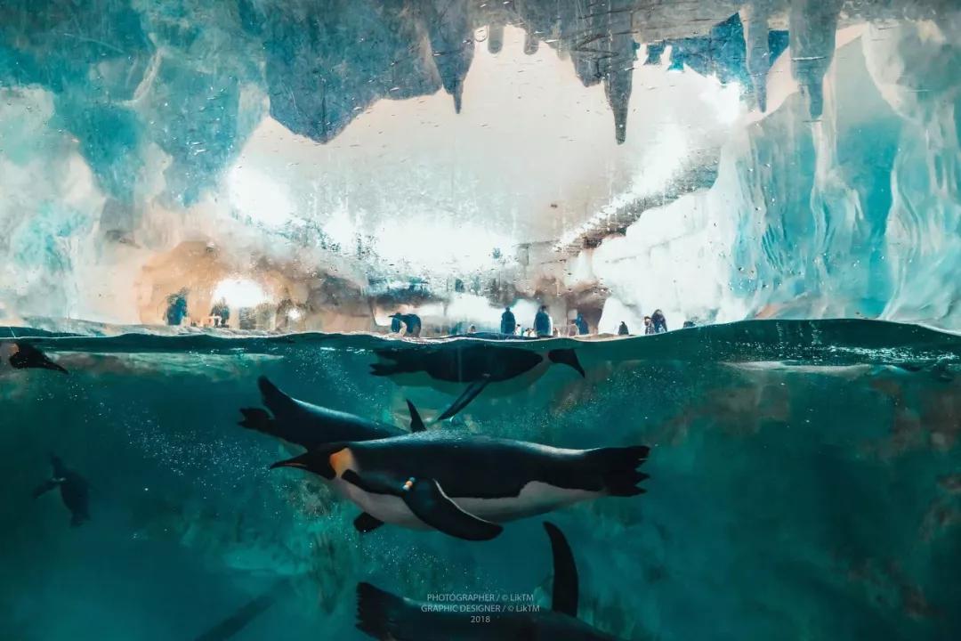 不远的旅游景点推荐,不远不贵不累8个国内亲子游