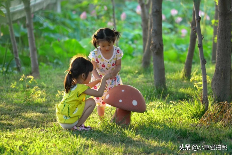 威海羊亭小区,威海羊亭露营