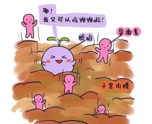 药流和人流的区别？一组漫画让你明白
