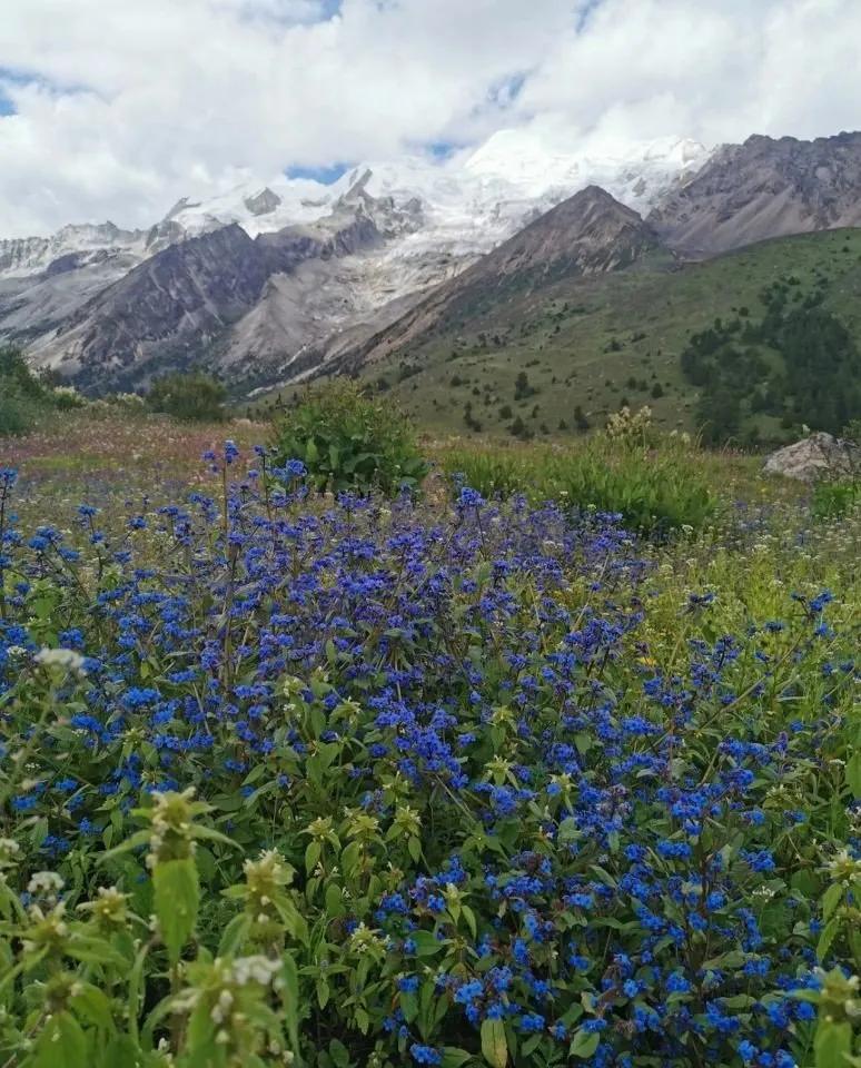 格聂c线穿越值得去吗,8月份格聂南线