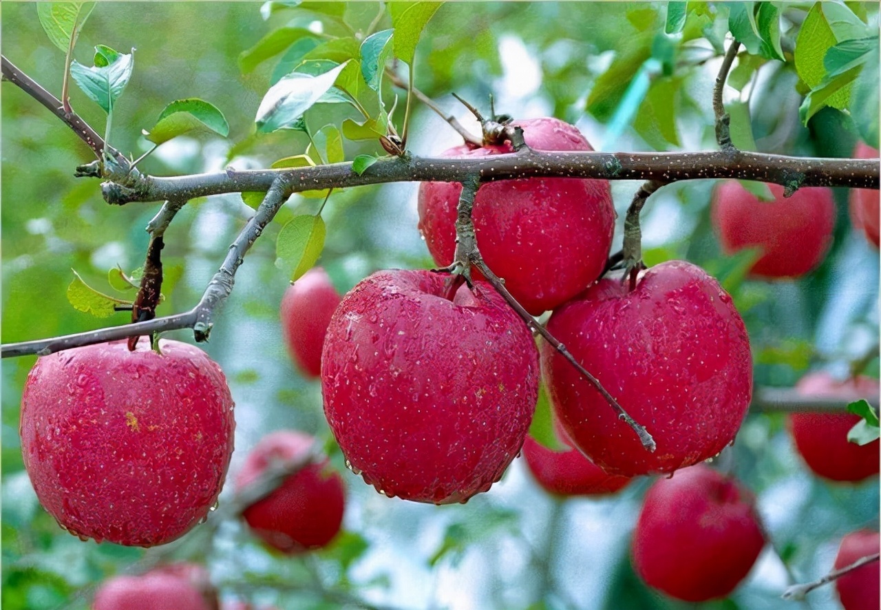 指甲上出现竖纹是身体出现了状况,如果指甲上有竖纹要关注了