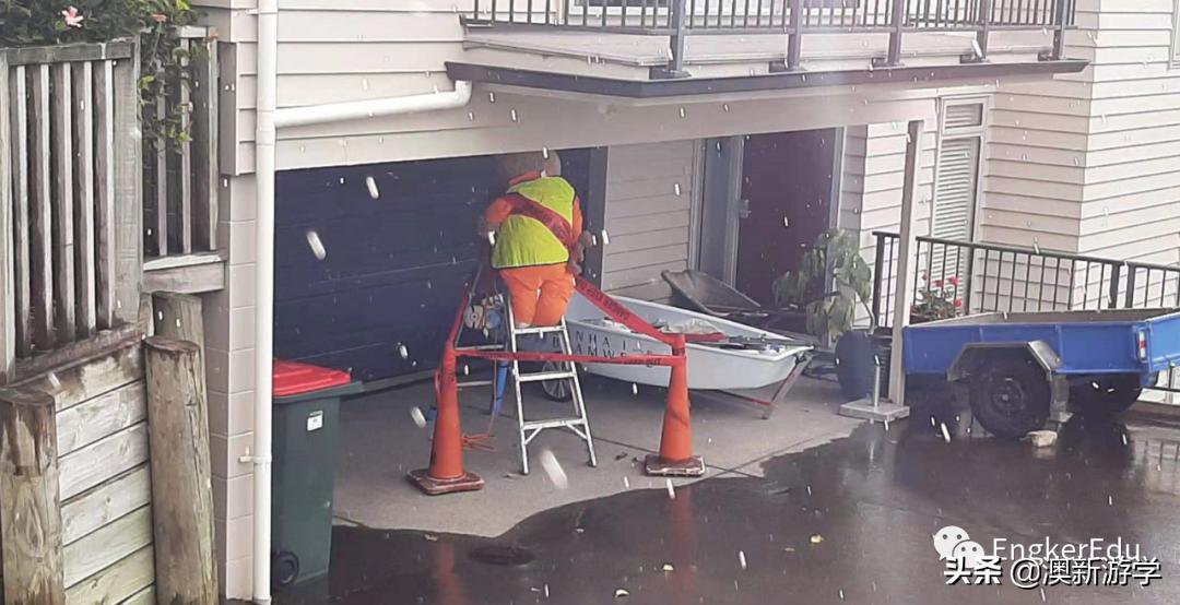 封城期间，玩偶一家的生活大揭秘