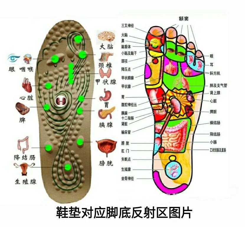 怎么买多功能按摩鞋垫,按摩鞋垫的功效