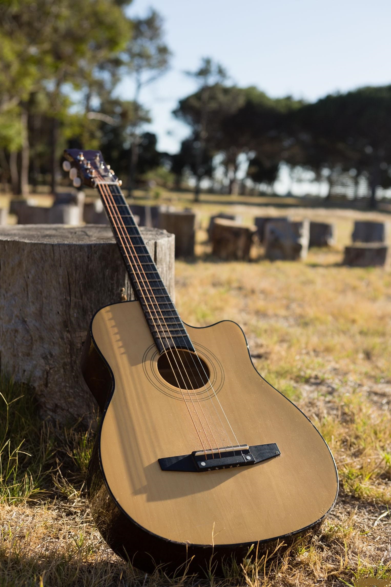 全自动吉他比吉他好学吗,吉他自学买什么吉他