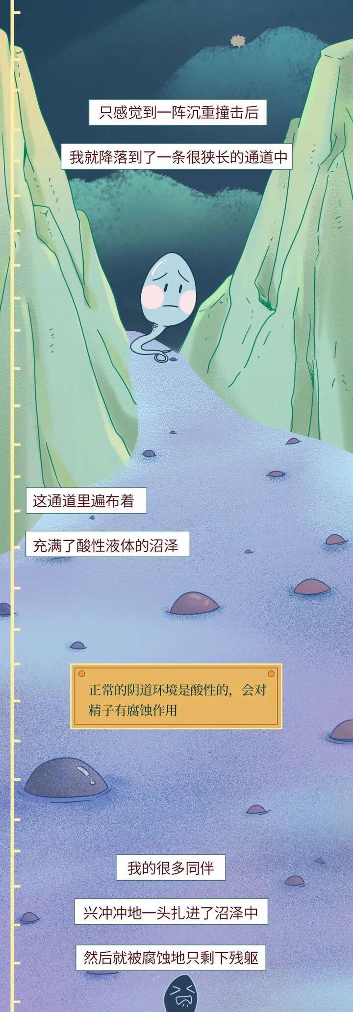 绮惧瓙杩涘叆浜轰綋1灏忔椂鍙樺寲,绮惧瓙杩涘叆浜轰綋48灏忔椂鍙樺寲