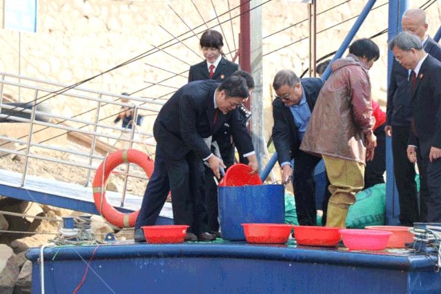 鱼苗放流全记录,鱼苗增殖放流