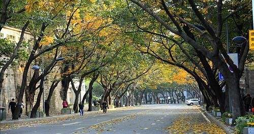 重庆这7条有耍事的街（gai），你都去过没得？