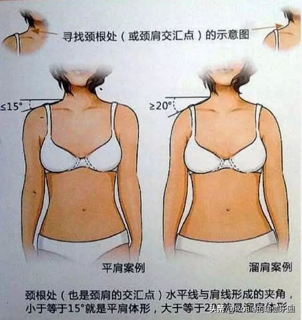 蓝盈莹直角肩一字锁骨,蓝盈莹直角肩