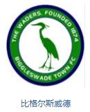 英格兰队徽壁纸,英格兰队徽图片蓝锁