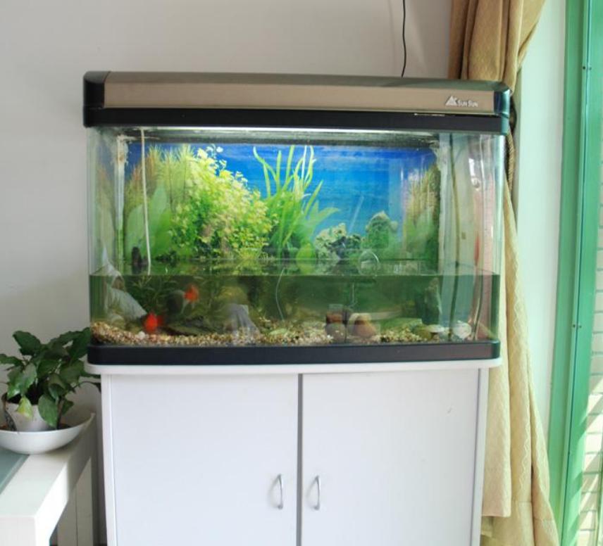 鱼缸噪音太吵怎么解决,鱼缸底滤噪音大还是上过滤噪音大