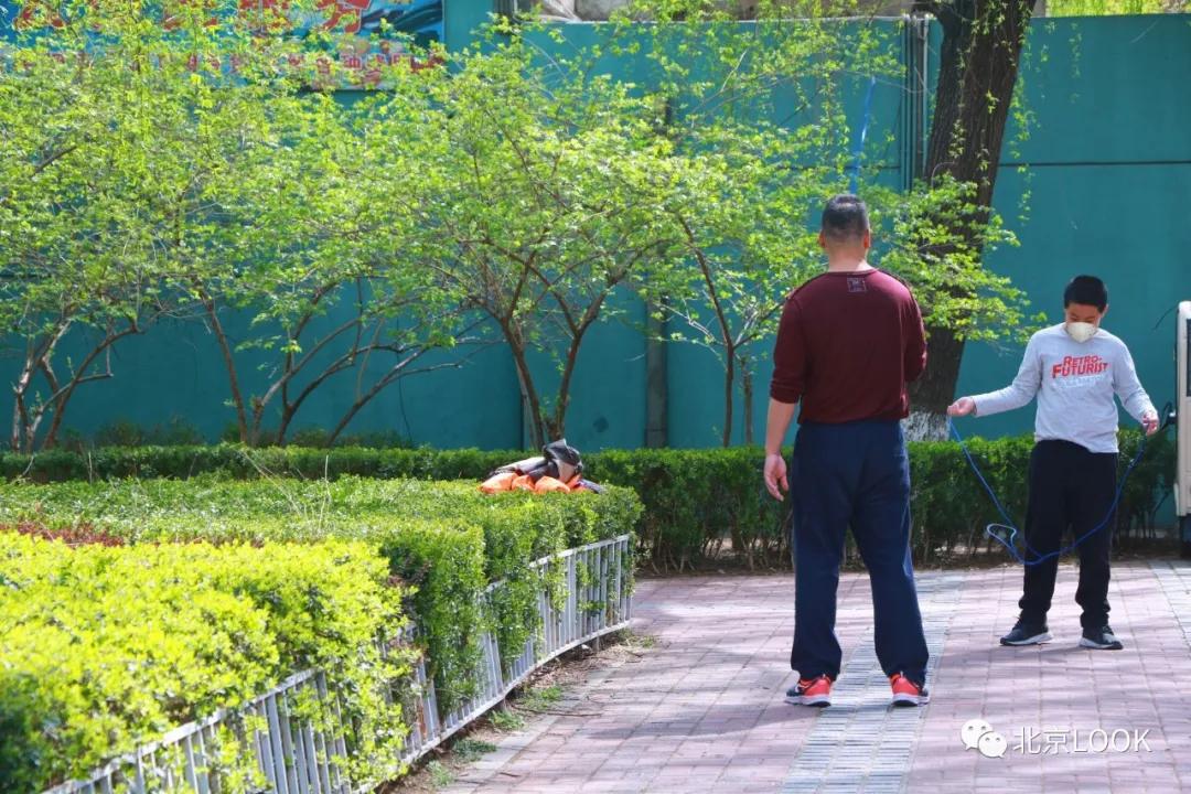 北京小区的早晨,北京小区里的傍晚