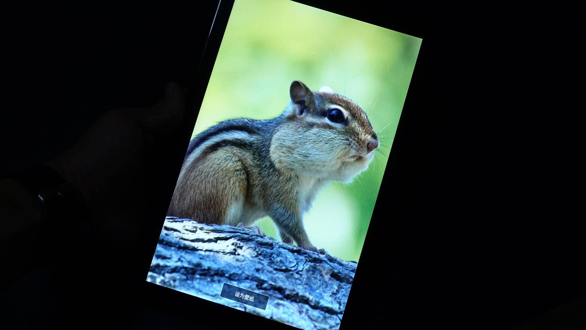 台电m40pro平板参数,台电m40平板玩游戏