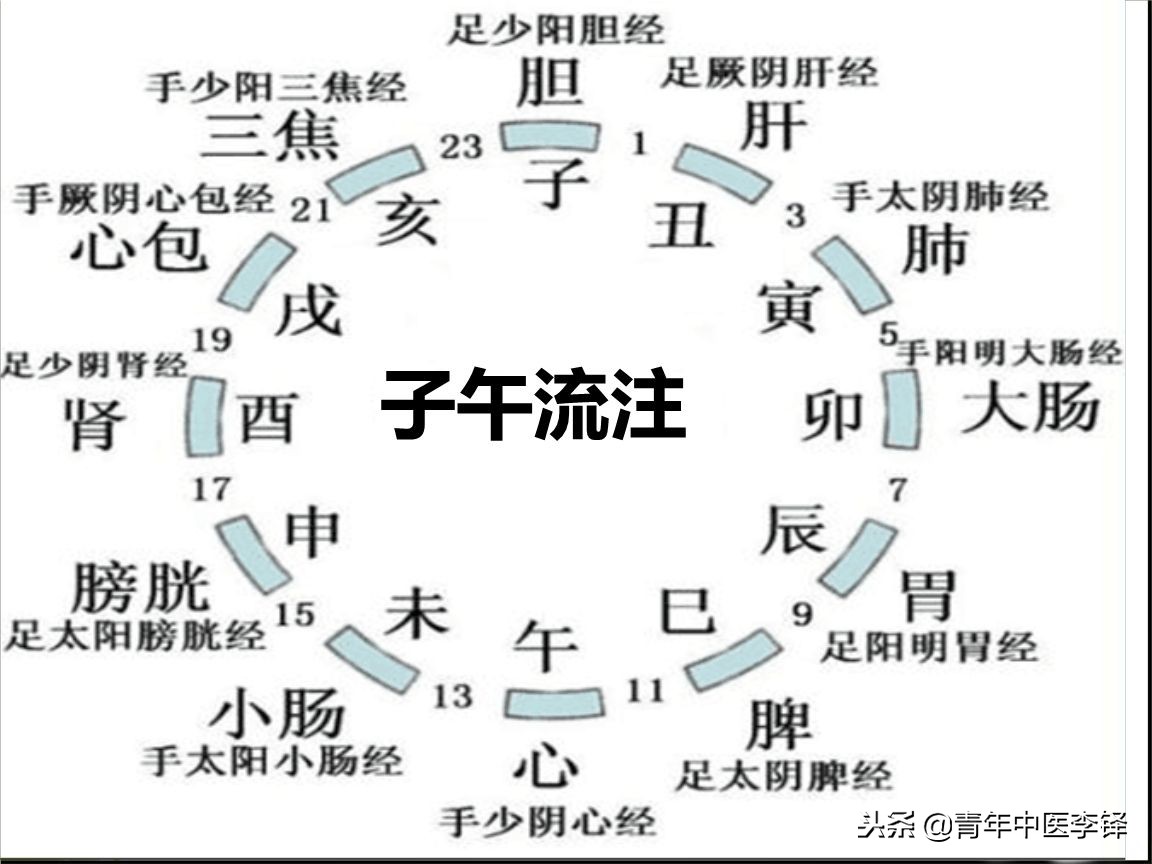 子午流注针法的意义,子午流注针法是谁创立的
