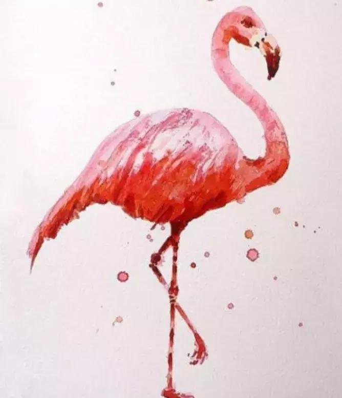 夏天推荐虾青素,让你白到发光的虾青素