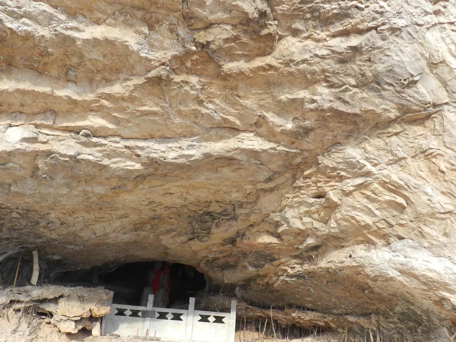 在山里迷路遇到狐狸,在山里迷路遇到了好漂亮的小姑娘