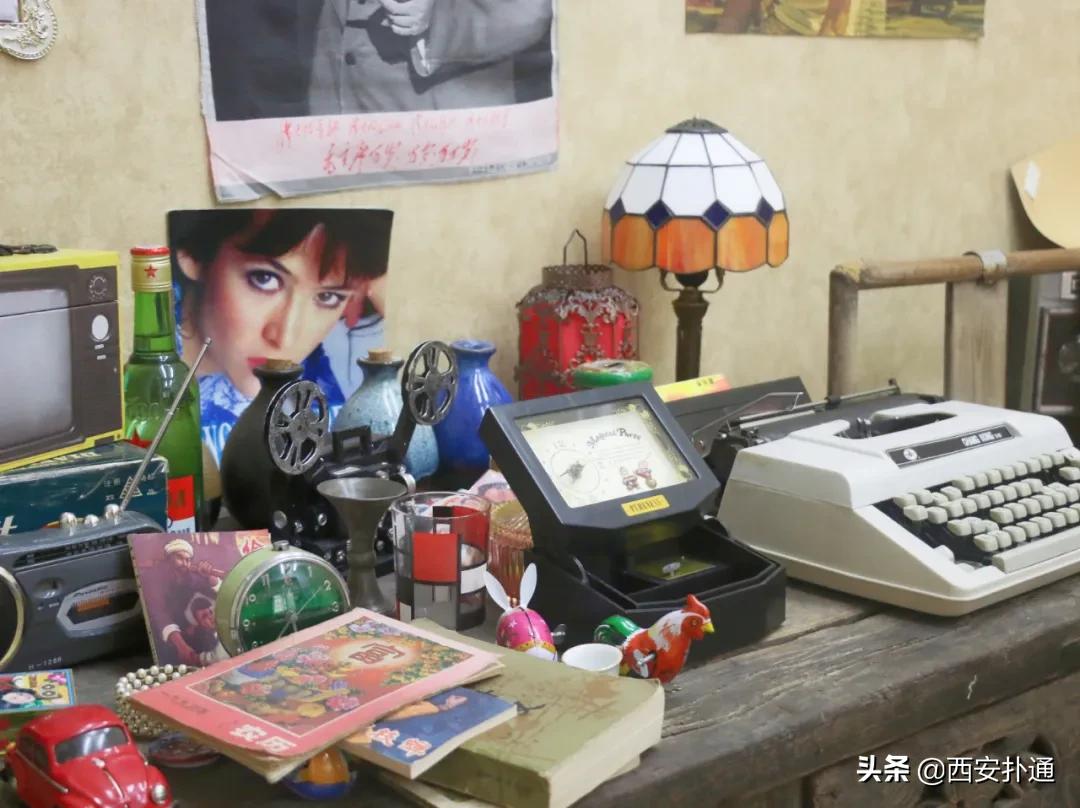 西安有哪些可以撸兔子的店,西安撸兔子的店