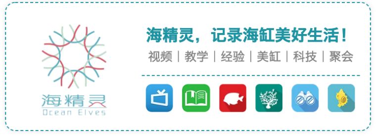 刚入光遇的萌新要知道什么,新入坑的萌新要随时保持警惕