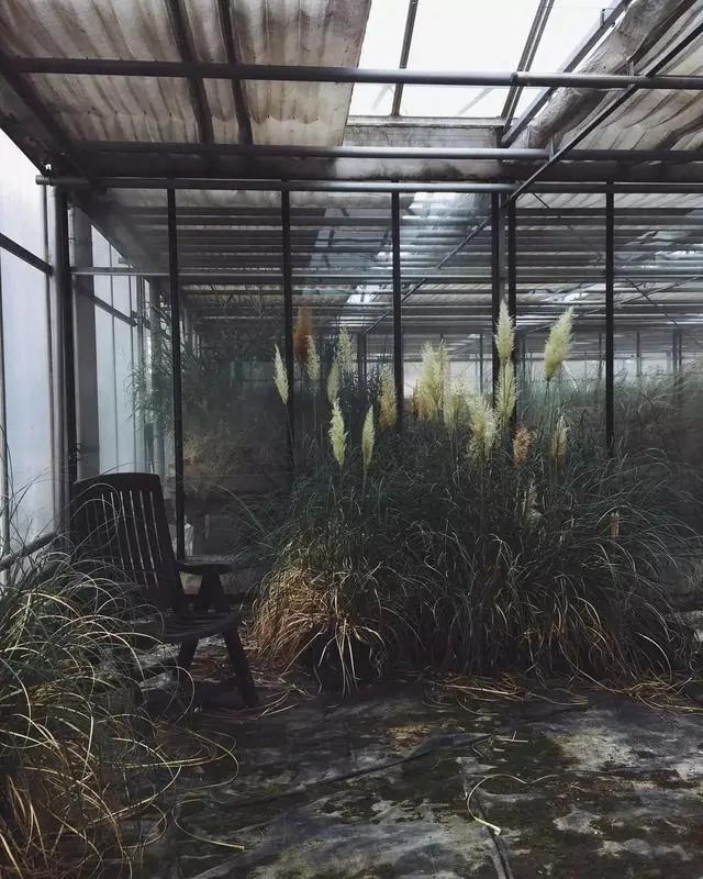 9平米花店,有4间铺面开花店怎样设计