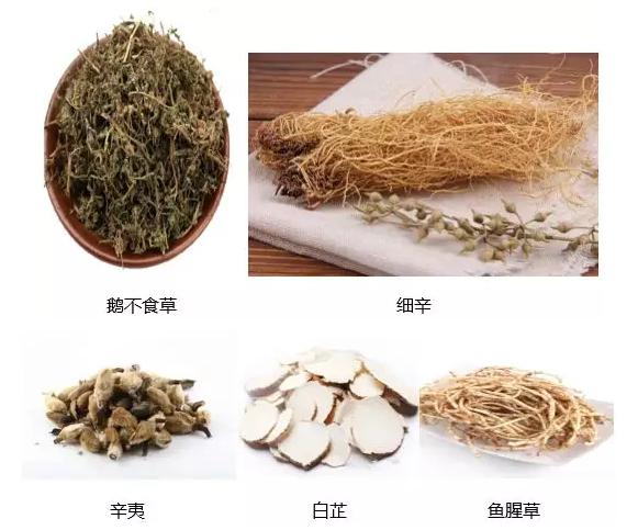 哪些花卉可以治疗鼻炎,农村常见的植物专治鼻炎
