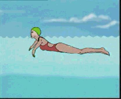 游泳口诀八个字,四种常见游泳方式口诀