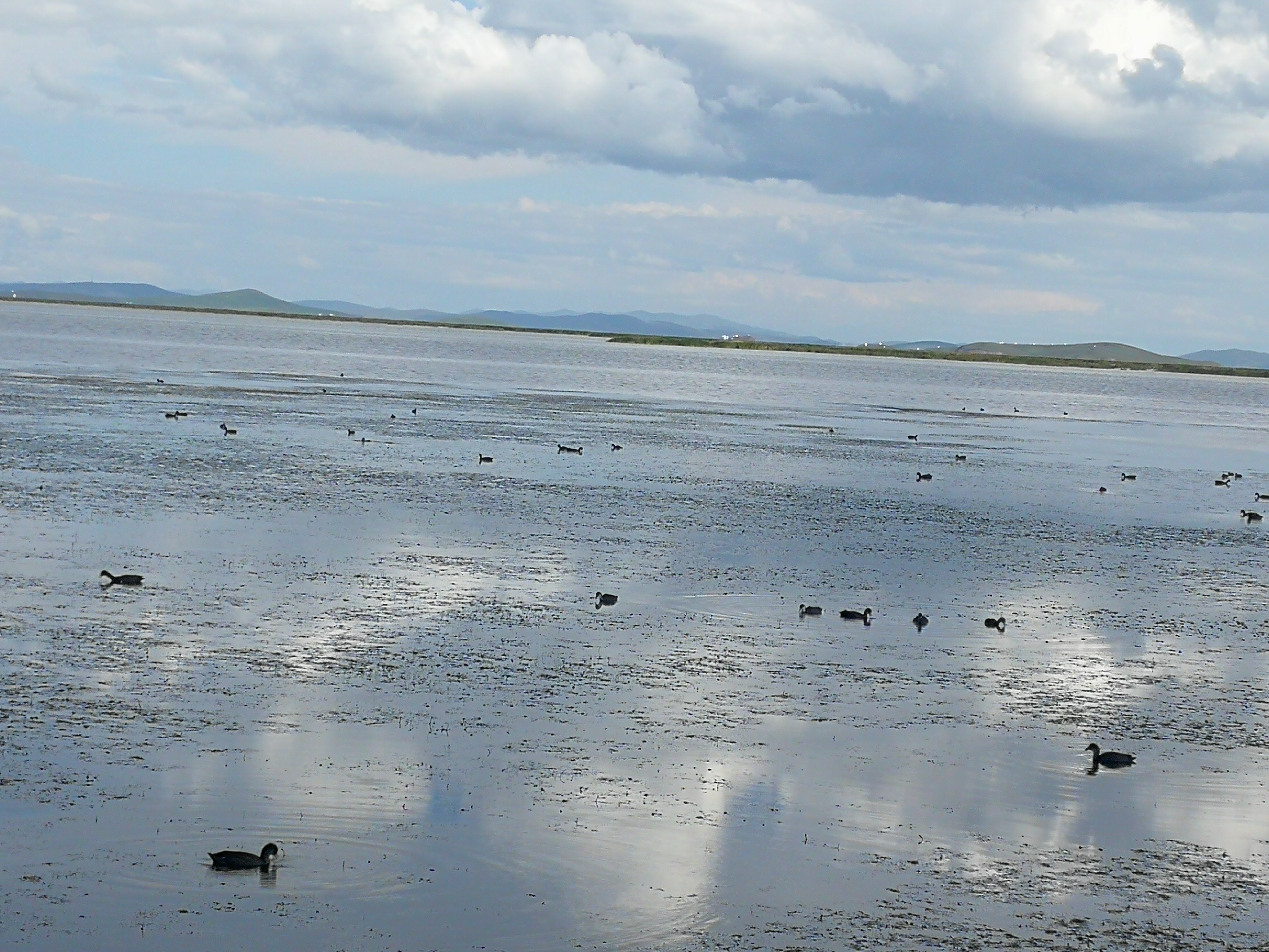 如果你收到假钱预示什么,假如你收到假钱