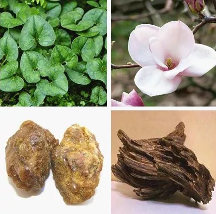 燃一枝香品一壶茶原文,燃一炉熏香沏一杯清茶