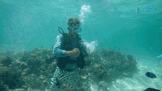 塞班岛自由行旅游攻略大全,塞班岛旅游自由行攻略