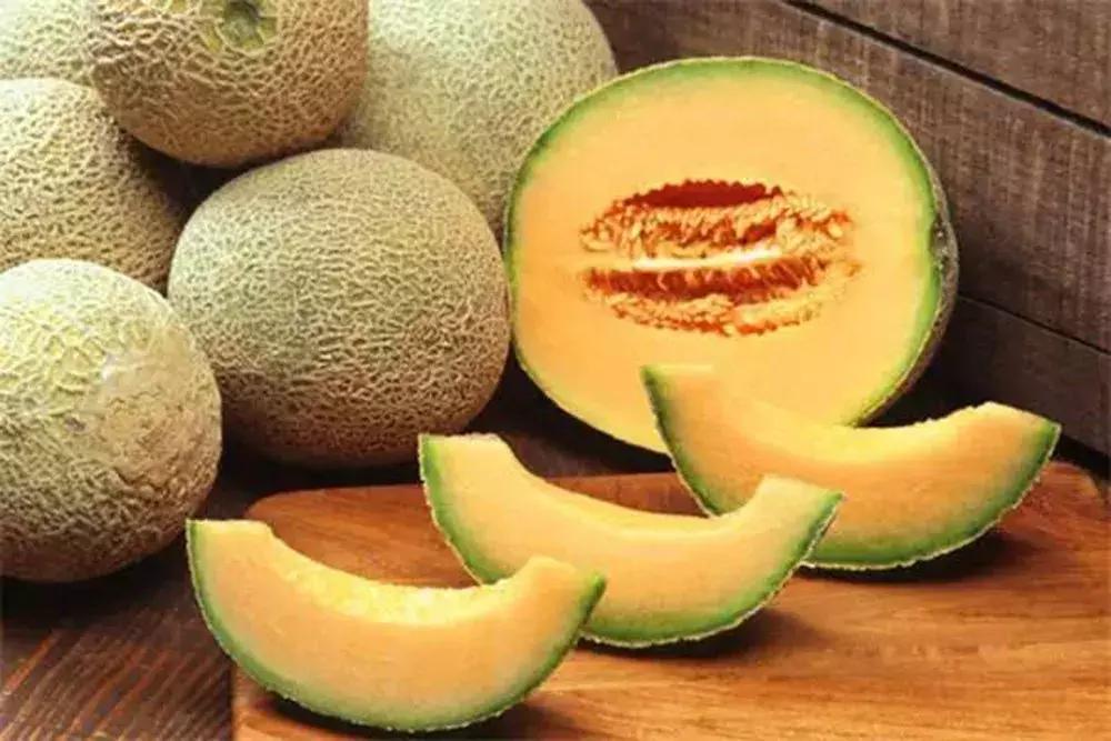 额济纳旅游自由行攻略,额济纳旗旅游最佳省钱攻略