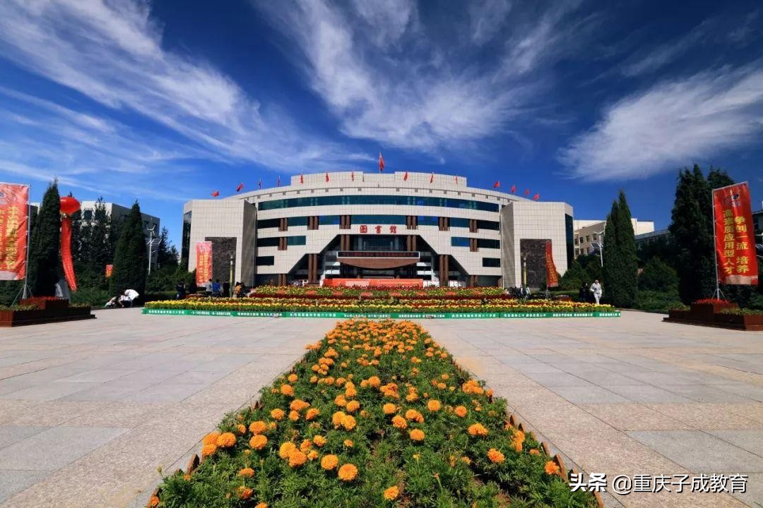 中国最具特色的二十所高校,中国高校前二十名大学