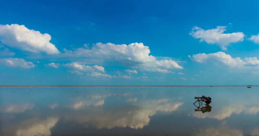 自带饭勺的鸟,自带勺子的小鸟