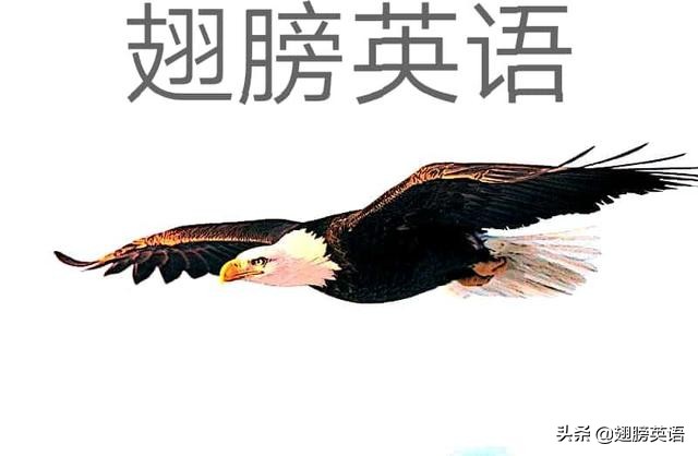 everyday与everyday辨析,everyday和everyday的区别