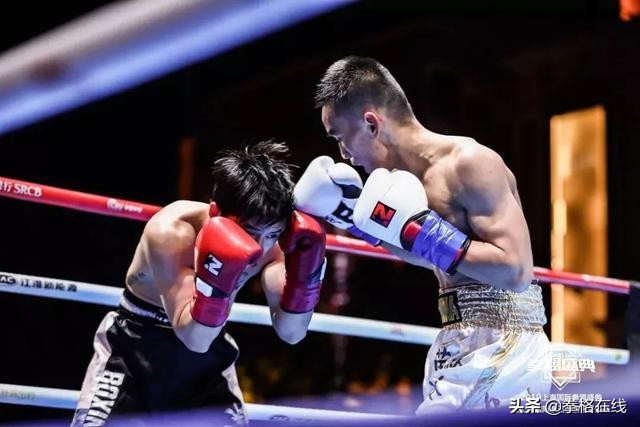 wba中国拳王金腰带,中国区首条wbc金腰带