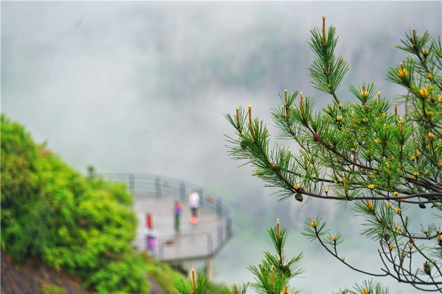 跟着古诗去旅行西湖,唐诗浙江旅游攻略