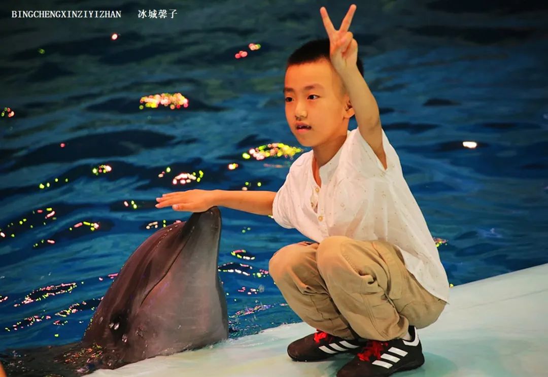 走进哈尔滨完整视频,走进哈尔滨海洋馆