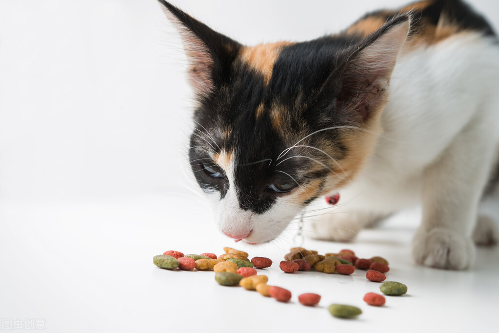 脸上长猫癣症状,猫癣长在脸上有疤痕