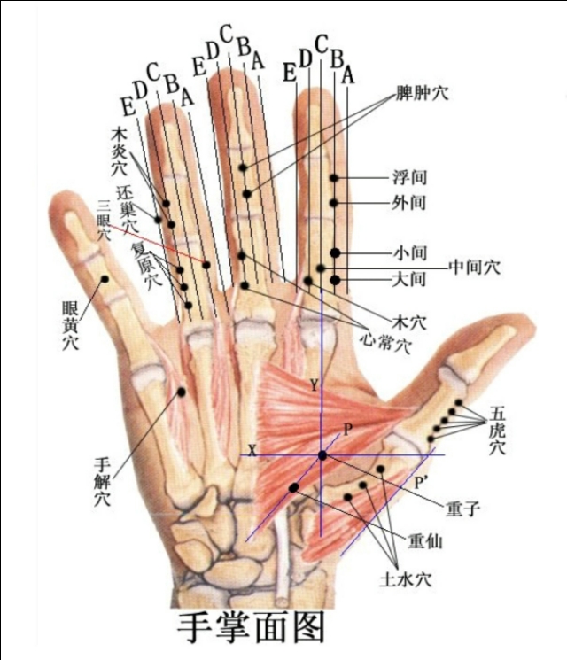 每日一学——学点董穴（1）