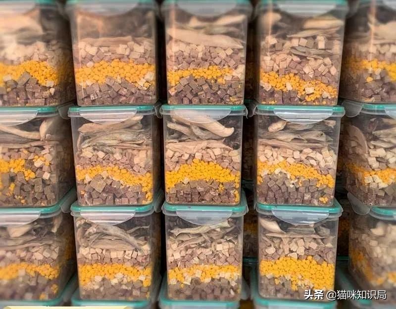 猫冻干有哪些种类,冻干会导致猫软便吗