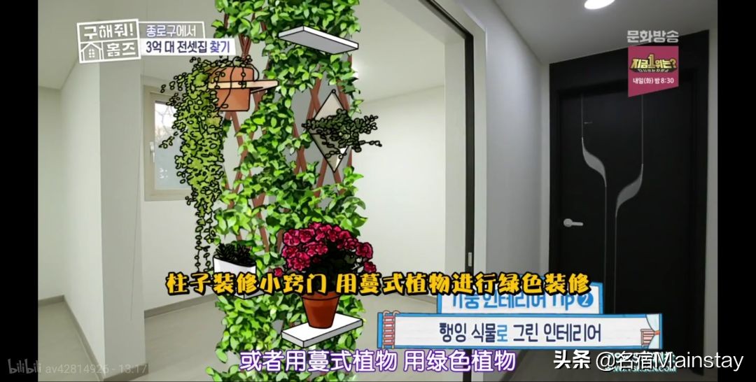 名宿看点|明星经纪人手把手教学，你5招挑到好房子