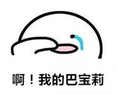 巴宝莉网上代购真假,巴宝莉售假违规