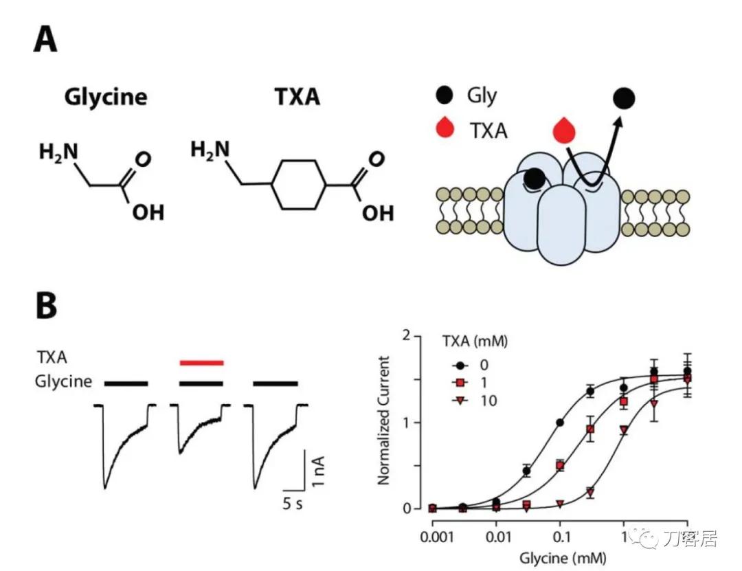 氨甲环酸是禁用药吗,氨甲环酸专家共识