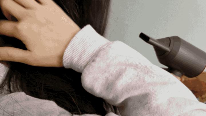 用吹风机吹小狗,狗狗吹风机大风力