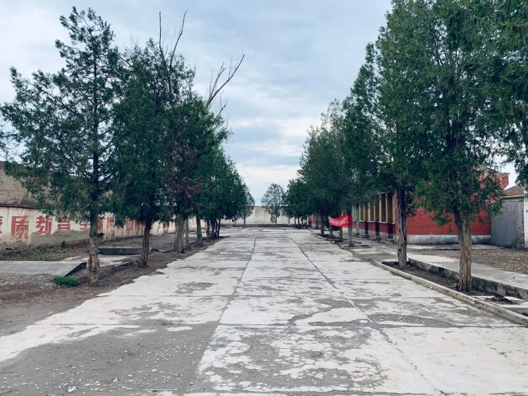 你我皆旅人，何日是归年