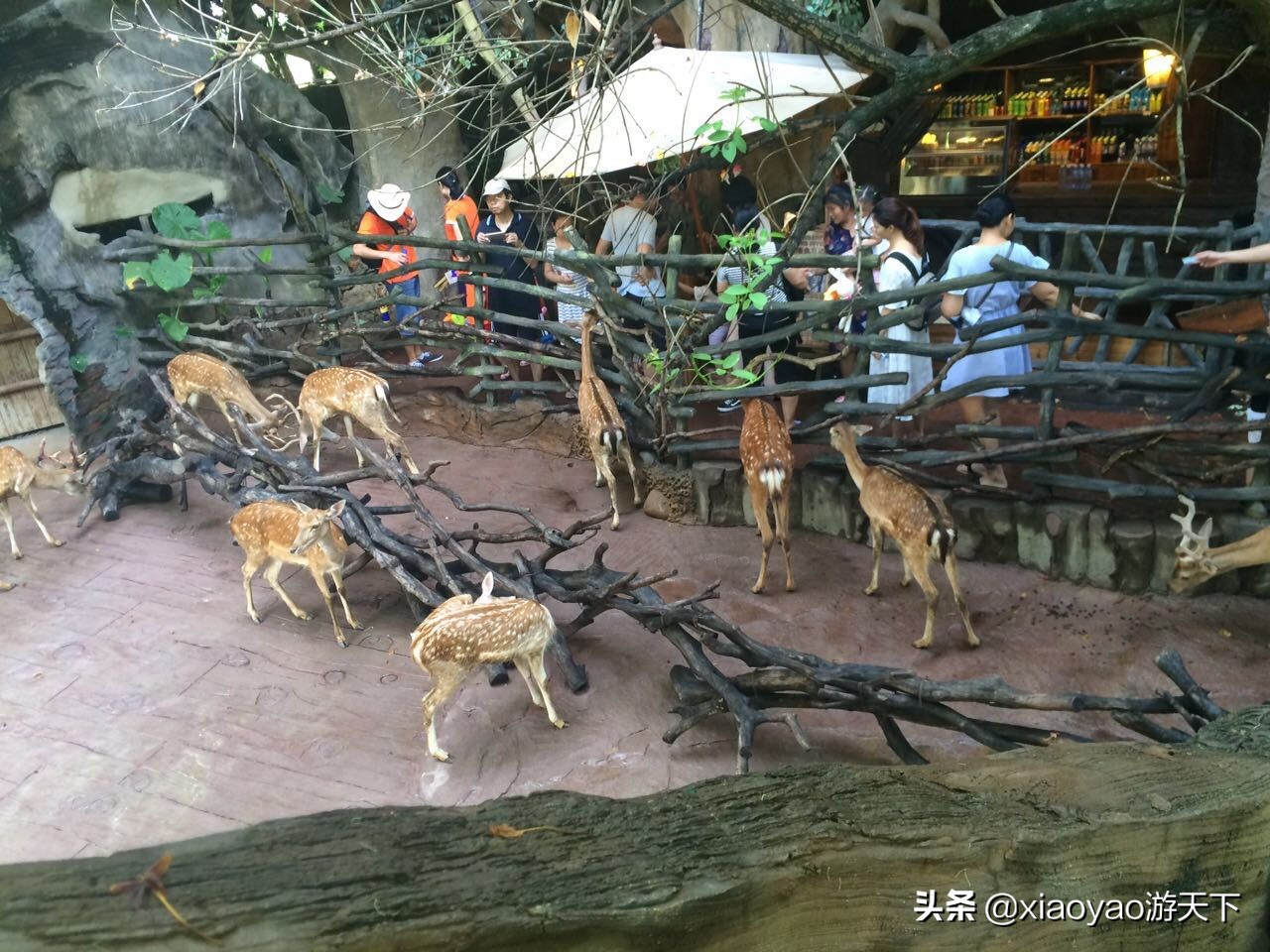 国家A级景区门票政策,全省104家a级旅游景区全部免票