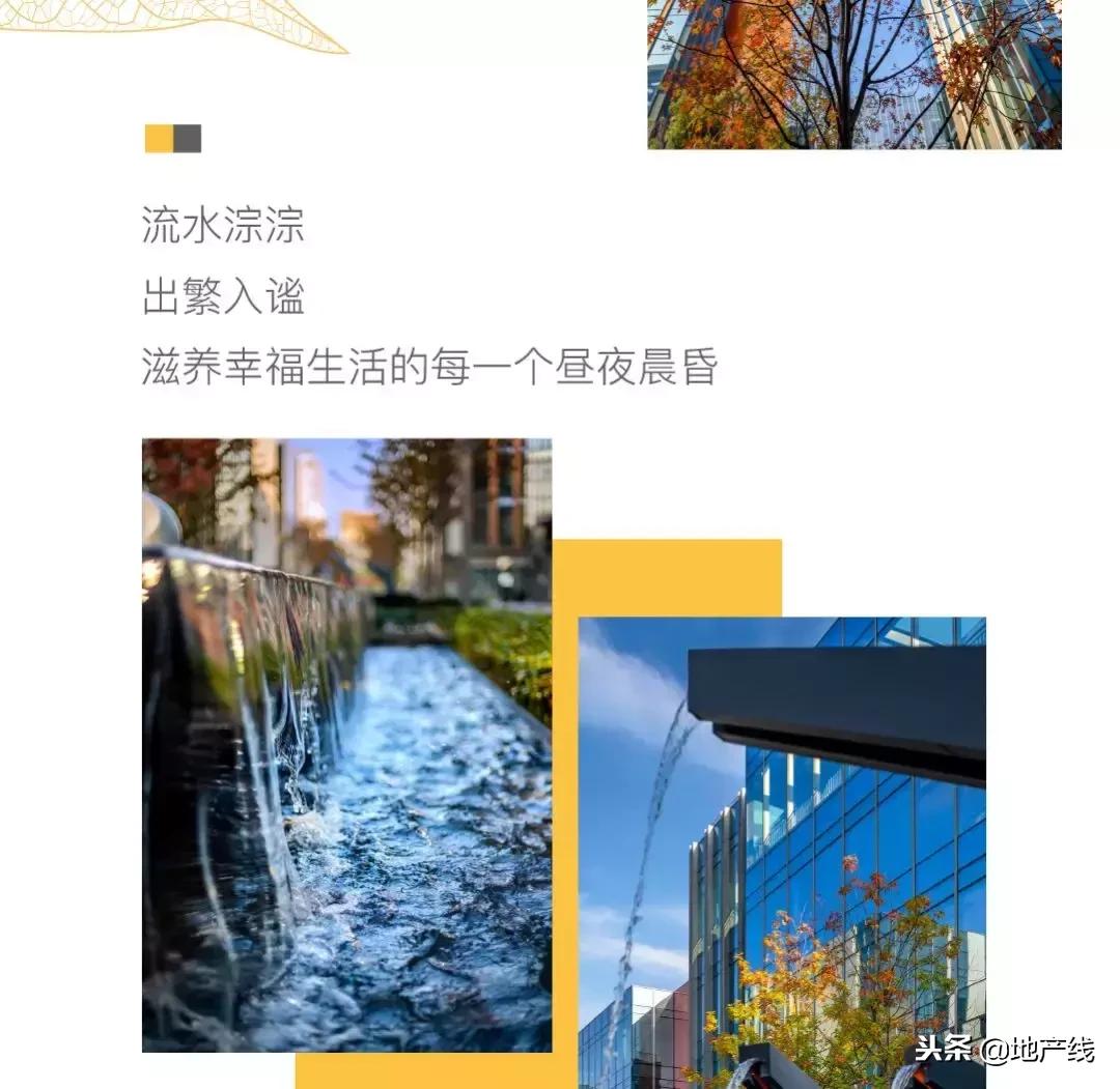 秋景鉴赏，开启多元生活上海中骏广场