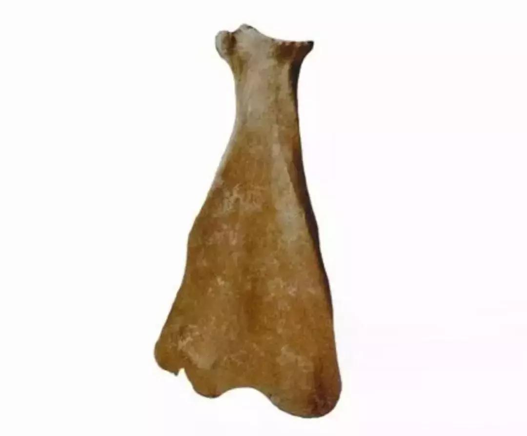 宝鸡最无奈的楼,宝鸡是中国最干净的城市吗