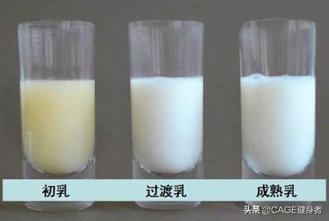 产后妈妈恢复身材的四个动作,产后妈妈的身体变化