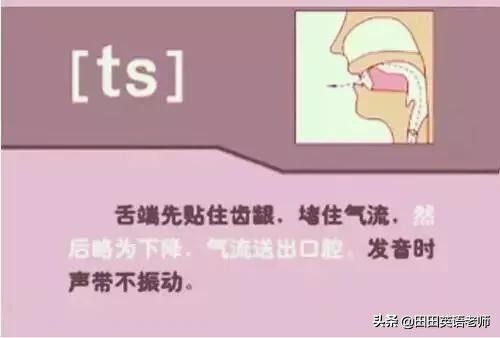 基础英语48个国际音标详解，赶紧来学习！