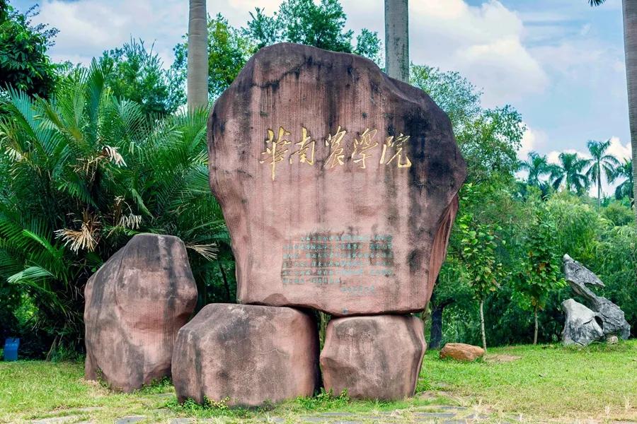 报考华南农业大学,华农报录比